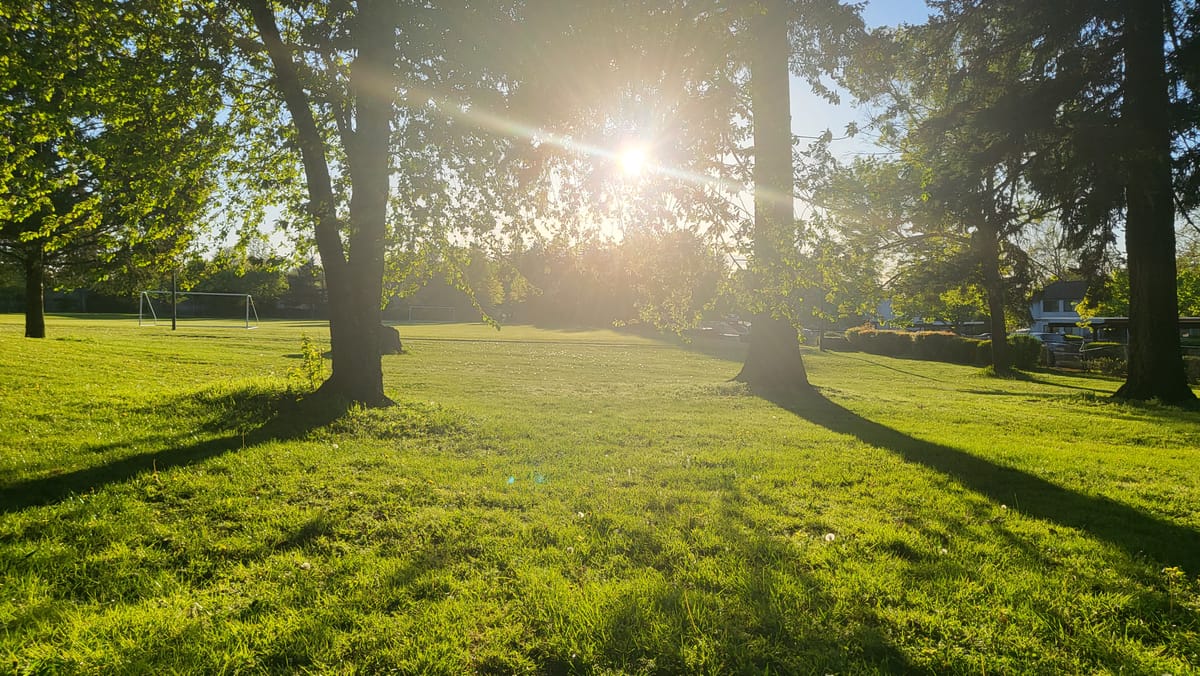 What you practice grows stronger. Earth day within to widen the view.