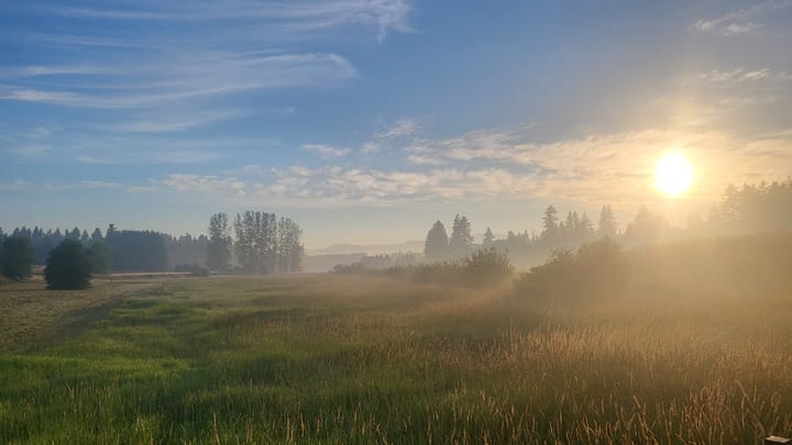 Resting in the Joy of Vyana- The Omnipresent Winds of Prana